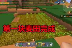 迷你世界菜鸟生存9：开始建立自动小麦耕地，第一块麦田基本完成