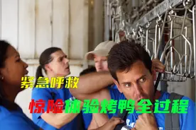 爱鸭人士 用这样的方法来救鸭子视频封面
