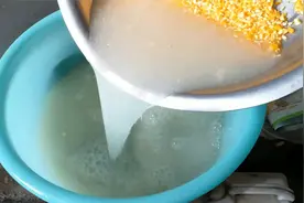很多人煮棒子米粥都放碱面或小苏打，这样做会破坏米里面的营养素视频封面