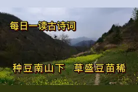 《每日一读古诗词》第405期：描写劳作赞美朗读人民的七首古诗词视频封面