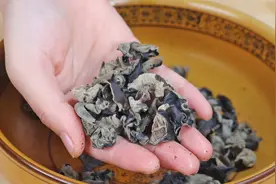 黑木耳别炒着吃了，试试这种独特做法，鲜香酥脆，吃过一次忘不了视频封面