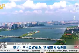 厉害了！2020年临沂GDP居全省第5位，商城交易额和物流总额超万亿视频封面
