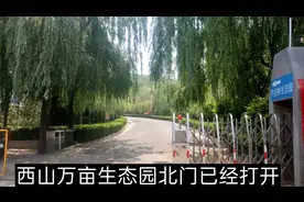 太原西山万亩生态园已经对外开放，免费进入，里面的游客很多！视频封面