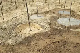 十年九旱，这里的土地都干成这样了，家家户户收集房顶的雨水饮用视频封面
