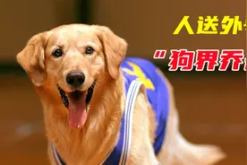 喜剧：全世界打篮球最厉害的狗，投篮几乎百发百中，外号狗界乔丹视频封面