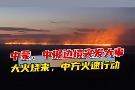 中蒙、中俄边境突发大事，大火烧来，中方火速行动，2天搞定视频封面