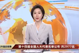 第十四届全国人大代表名单公布 共2977名视频封面