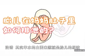 胎儿在妈妈肚子里是如何排泄的？视频封面