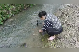 农村捡石头有多赚钱？收绿松石的大叔告诉你真实价格，真值钱视频封面