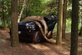 蟒蛇的力量有多大？可以将一辆汽车绞烂视频封面