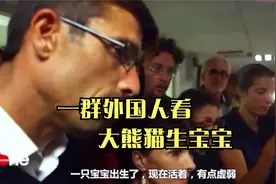 外国人现场观看大熊猫宝宝，那表情真是望眼欲穿，毫无抵抗力！视频封面