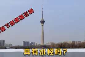 北京玉渊潭冰面下发出轰隆隆巨响，难道真是传说中的水怪吗？视频封面