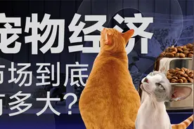 X光机筛选、每小时抽样，宠物食品的制作流程有多严格？视频封面