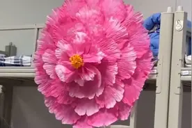 笑哭！山东一男大学生床头挂姻缘伞为招桃花，室友调侃：脱单够呛视频封面