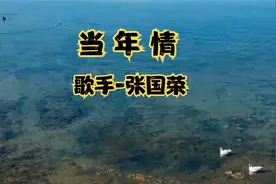每天一首经典老歌！！！张国荣的世纪怀旧金曲《当年情》视频封面