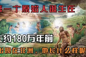 第一个原始人诞生在大约180万年前，出现在非洲，他长什么样呢？视频封面