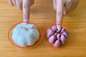 如何挑选大蒜？老蒜农教你5招，轻松挑出优质大蒜，以后别买错了视频封面