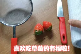 原来草莓的种子是这样取的，想吃草莓的，随时在家就能种植！视频封面