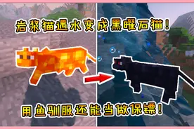 我的世界模组：岩浆猫遇水变成黑曜石猫！用鱼驯服还能当做保镖！