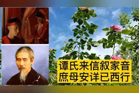 虚云老和尚故事23集，谭氏来信叙家音，庶母安详已西行视频封面