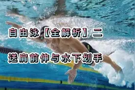 「自由泳全解析」（二）：送肩前伸与水下划手视频封面