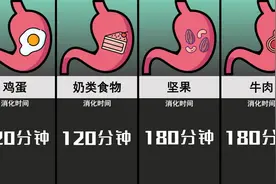 比较：各种食物在胃里停留时间视频封面
