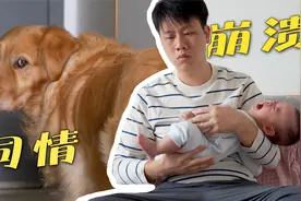 全职奶爸哄小宝宝睡觉，场面太紧张，连狗都不敢喘大气！视频封面