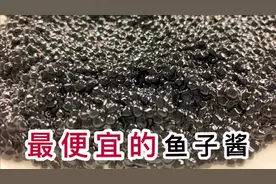 试吃拼多多的鱼子酱，五毛钱一斤，便宜得可怕