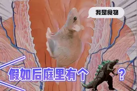 男人体内竟然寄生着怪物？怪不得上厕所至少用1小时，你行吗视频封面