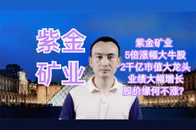 紫金矿业 5倍涨幅2千亿市值 业绩大幅增长 股价缘何不涨？#股票视频封面