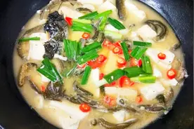 泥鳅:又称水中人参，加入豆腐这样炖，炖出奶白浓汤，鲜美又营养