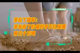 贵州茅台董事长丁雄军：茅台存了价值好多万亿基酒 有几十万吨视频封面