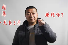 农村养殖肉马一天能长3斤，是真的吗？这样赚钱吗？来看我的经历视频封面