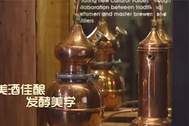 新加坡明星品尝韩国顶级烧酒，味道浓烈，喝一口就“晕”！视频封面