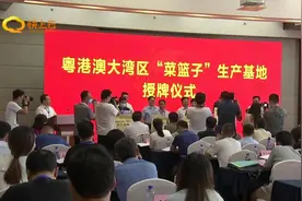 粤港澳大湾区“菜篮子”生产基地建设工作推进会议在潍坊市召开视频封面