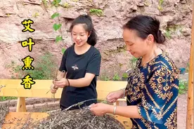艾叶全身都是宝，柠檬教你艾叶做成艾条，方法简单一看就懂视频封面