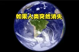 假如人类消失视频封面