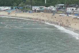 深圳小梅沙海滩游泳场视频封面