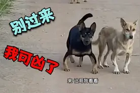 就看这腿 一看就是大哥啊