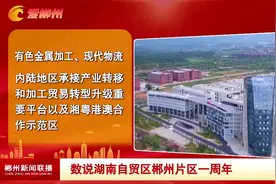 数说湖南自贸区郴州片区一周年视频封面