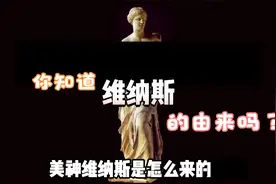美神维纳斯的由来视频封面
