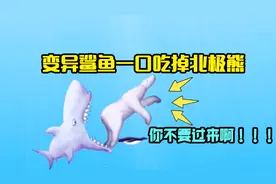 美味汪洋：变异鲨鱼回到大海遇见北极熊，一口把它吃掉了