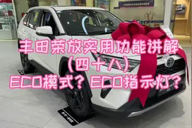 丰田荣放实用功能讲解（四十八）ECO模式？ECO指示灯？视频封面