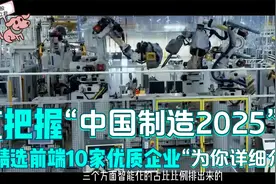 智能制造板块里的龙头企业，把握“中国制造2025”，精选前端10家视频封面