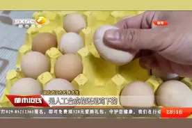 稀奇！鸡蛋壳表面坑坑洼洼布满"皱纹"，这样还能吃吗？|都市热线视频封面