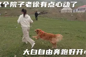 新疆牧民家的院子风景真美，租金两万五一年，看看条件怎么样？视频封面