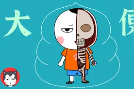 大便的七种类型，快来看看你的便便正常吗？视频封面