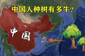 中国人种树有多牛？千年沙漠变绿洲，面积堪比7个韩国