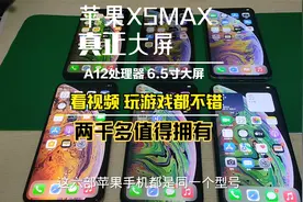 苹果真正大屏手机 A12处理器玩游戏看视频够爽 2K多值得拥有 实用视频封面