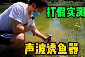 实测25元声波诱鱼器，号称开机三秒鱼儿排队来，一天钓空一条河！视频封面